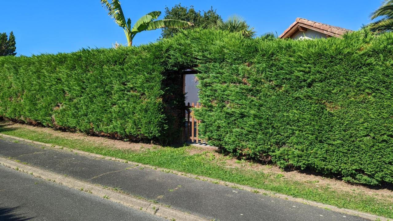 Apartment Au Milieu Des Palmiers